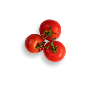 Background-copy2.png