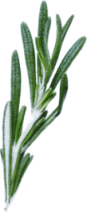 Layer-1زلبات.png